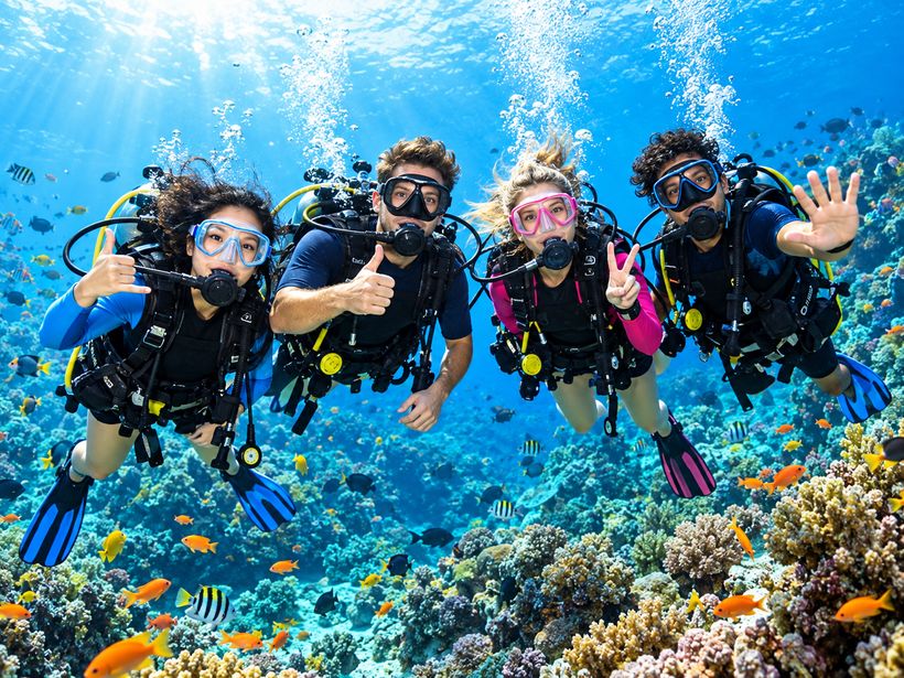 Komodo Fun Dive: 3 Tauchgänge an einem Tag, kleine Gruppe