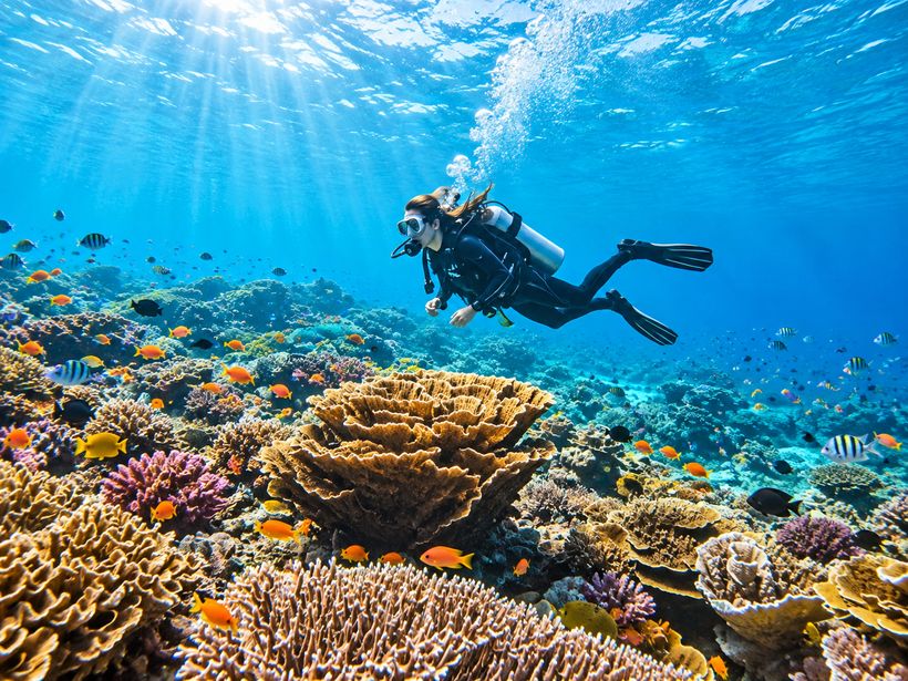 Komodo Fun Dive: 3 Tauchgänge an einem Tag, kleine Gruppe