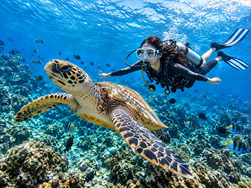 Komodo Fun Dive: 3 Tauchgänge an einem Tag, kleine Gruppe